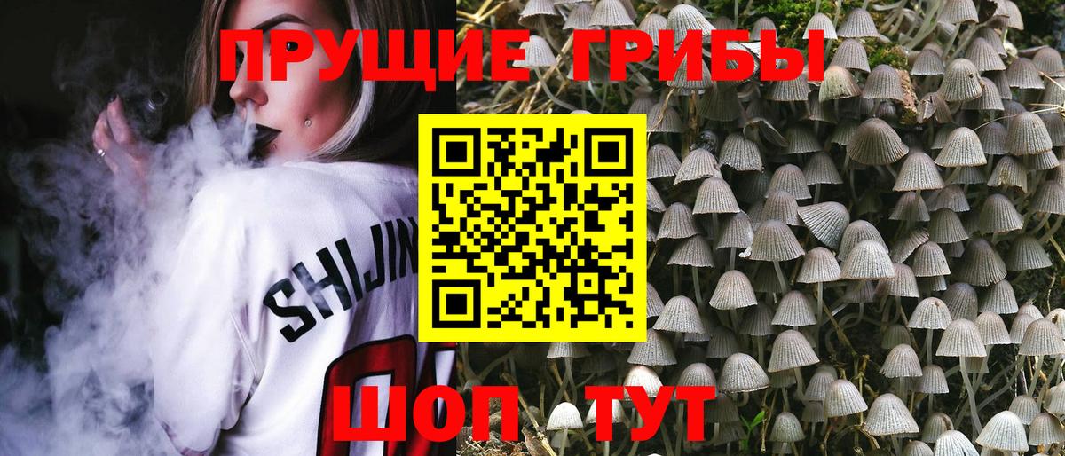 Галлюциногенные грибы GOLDEN TEACHER Дубна