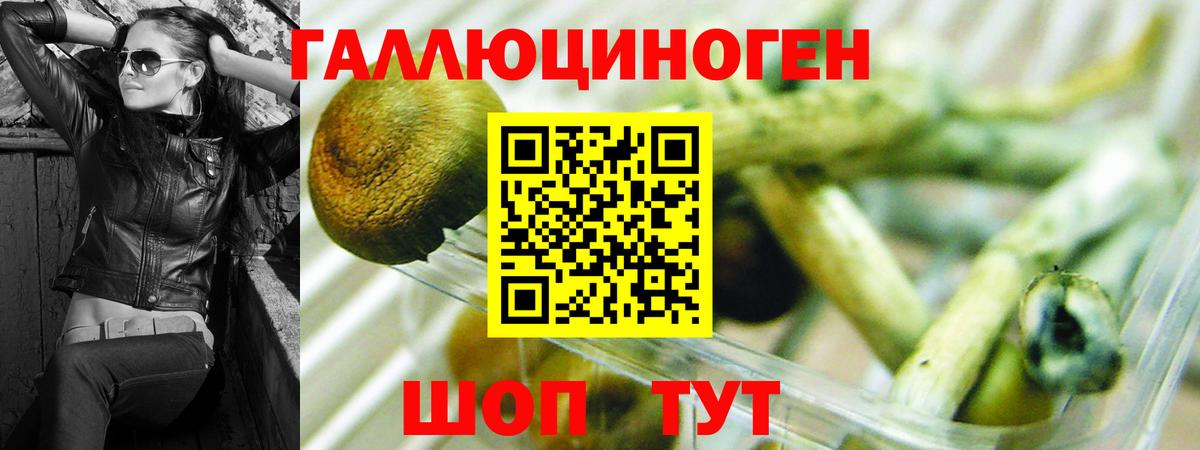 Дубна  хочу   Вход с VPN  Галлюциногенные грибы Cubensis  Псилоцибиновые грибы Cubensis 